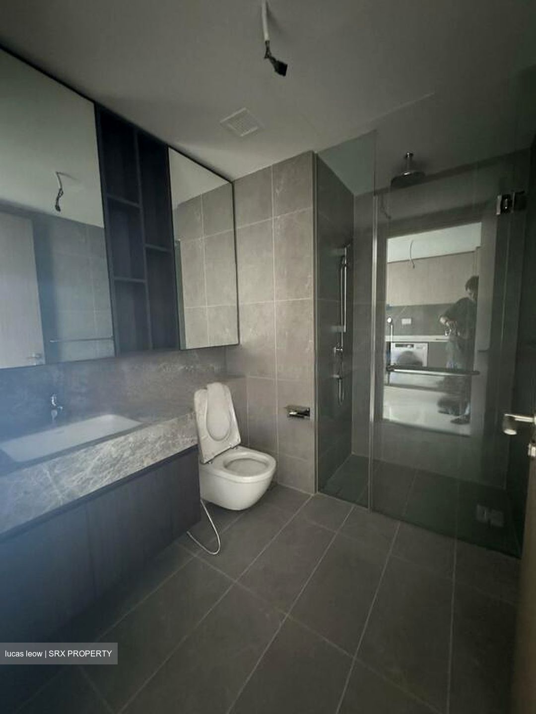 Verticus (D12), Apartment #455919401